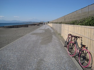 141120a_shonan.JPG
