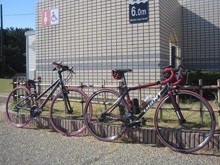 141120b_kaihin.JPG